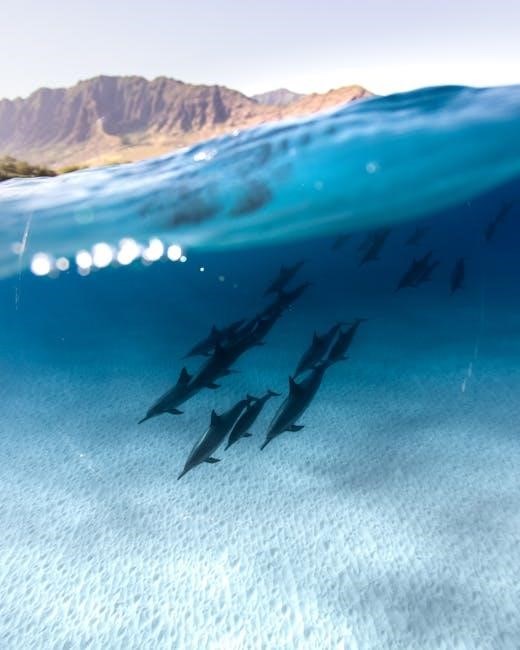 dolphins filetype:pdf